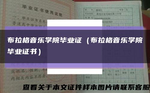 布拉格音樂學院畢業證（布拉格音樂學院畢業證書）縮略圖