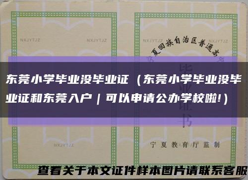 東莞小學畢業沒畢業證（東莞小學畢業沒畢業證和東莞入戶｜可以申請公辦學校啦!）縮略圖