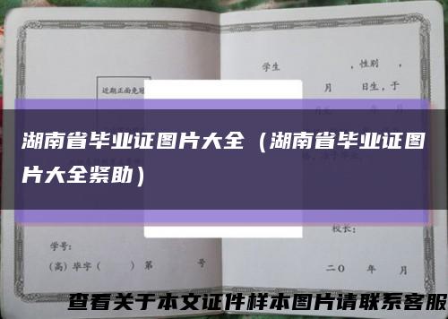 湖南省畢業證圖片大全（湖南省畢業證圖片大全緊助）縮略圖