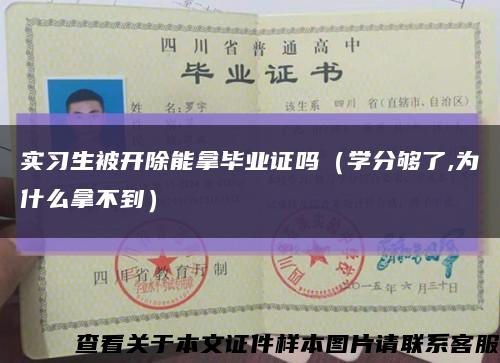 實習生被開除能拿畢業證嗎（學分夠了,為什么拿不到）縮略圖