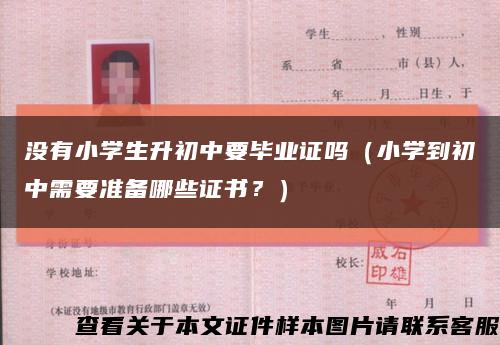 沒有小學生升初中要畢業證嗎（小學到初中需要準備哪些證書？）縮略圖