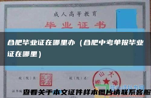 合肥畢業證在哪里辦（合肥中考單報畢業證在哪里）縮略圖