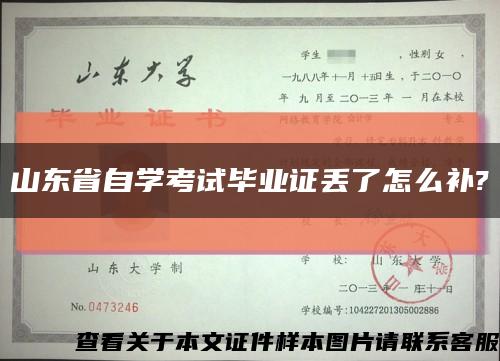 山東省自學考試畢業證丟了怎么補?縮略圖