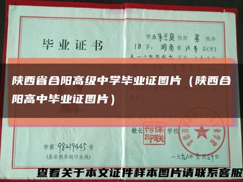 陜西省合陽高級中學畢業證圖片（陜西合陽高中畢業證圖片）縮略圖