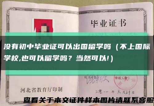 沒有初中畢業證可以出國留學嗎（不上國際學校,也可以留學嗎？當然可以!）縮略圖
