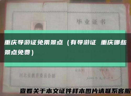 重慶導游證免票景點（有導游證 重慶哪些景點免費）縮略圖
