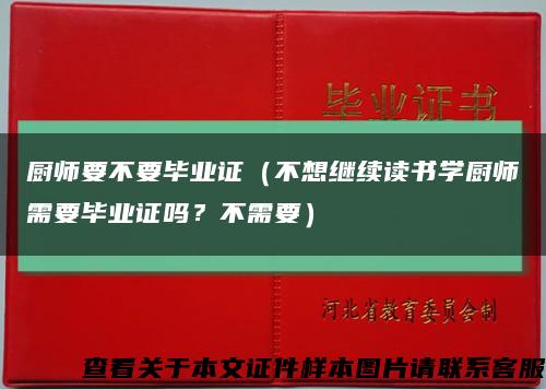 廚師要不要畢業證（不想繼續讀書學廚師需要畢業證嗎？不需要）縮略圖