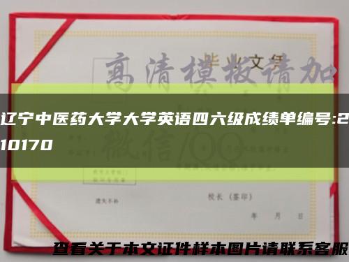 遼寧中醫藥大學大學英語四六級成績單編號:210170縮略圖