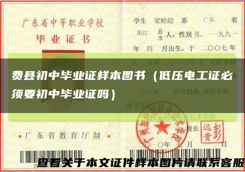費縣初中畢業證樣本圖書（低壓電工證必須要初中畢業證嗎）縮略圖