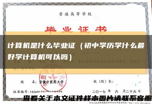 計算機是什么畢業證（初中學歷學什么最好學計算機可以嗎）縮略圖