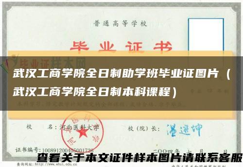 武漢工商學院全日制助學班畢業證圖片（武漢工商學院全日制本科課程）縮略圖
