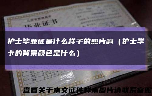 護士畢業證是什么樣子的照片?。ㄗo士學卡的背景顏色是什么）縮略圖