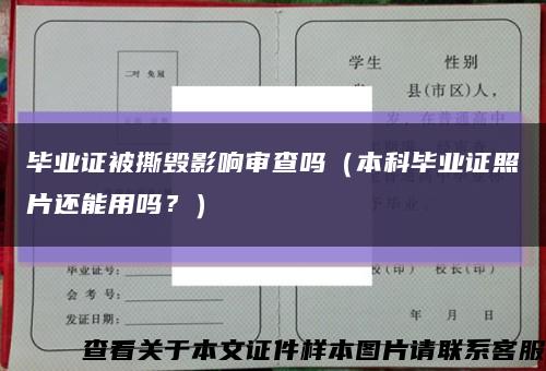 畢業證被撕毀影響審查嗎（本科畢業證照片還能用嗎？）縮略圖