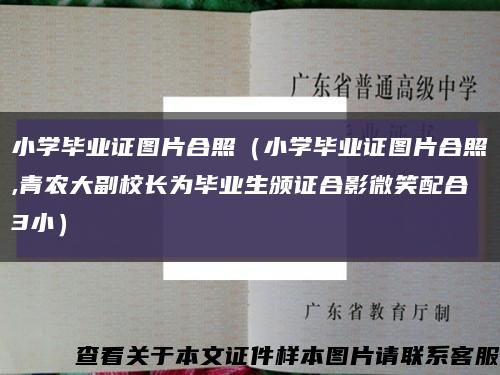 小學畢業證圖片合照（小學畢業證圖片合照,青農大副校長為畢業生頒證合影微笑配合3?。┛s略圖