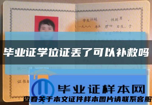 畢業證學位證丟了可以補救嗎縮略圖