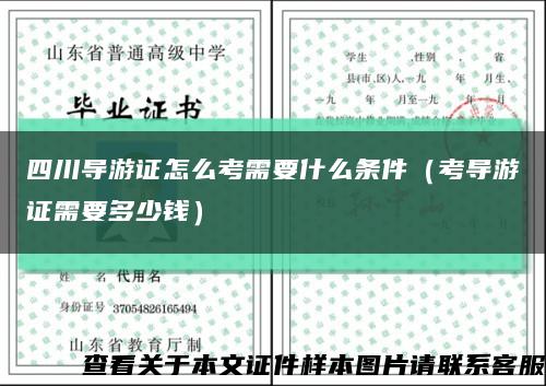 四川導游證怎么考需要什么條件（考導游證需要多少錢）縮略圖