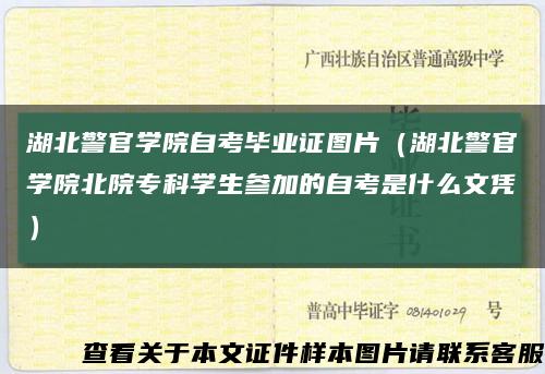 湖北警官學院自考畢業證圖片（湖北警官學院北院?？茖W生參加的自考是什么文憑）縮略圖