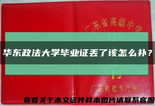 華東政法大學畢業證丟了該怎么補？縮略圖