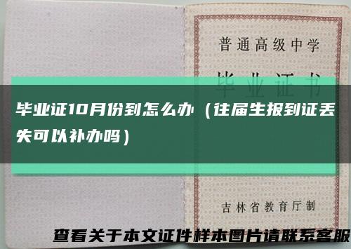 畢業證10月份到怎么辦（往屆生報到證丟失可以補辦嗎）縮略圖