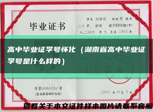 高中畢業證學號懷化（湖南省高中畢業證學號是什么樣的）縮略圖