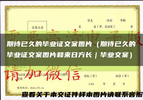 期待已久的畢業證文案圖片（期待已久的畢業證文案圖片和來日方長｜畢業文案）縮略圖
