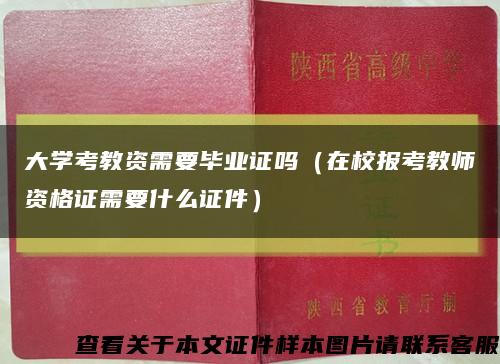大學考教資需要畢業證嗎（在校報考教師資格證需要什么證件）縮略圖