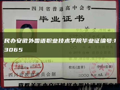 民辦安徽外國語職業技術學院畢業證編號:13065縮略圖
