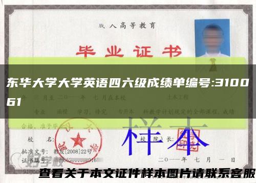 東華大學大學英語四六級成績單編號:310061縮略圖