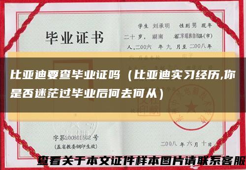 比亞迪要查畢業證嗎（比亞迪實習經歷,你是否迷茫過畢業后何去何從）縮略圖