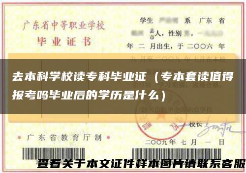 去本科學校讀?？飘厴I證（專本套讀值得報考嗎畢業后的學歷是什么）縮略圖