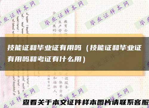 技能證和畢業證有用嗎（技能證和畢業證有用嗎和考證有什么用）縮略圖