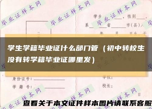 學生學籍畢業證什么部門管（初中轉校生沒有轉學籍畢業證哪里發）縮略圖