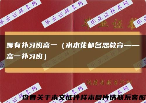 哪有補習班高一（水木花都名思教育——高一補習班）縮略圖