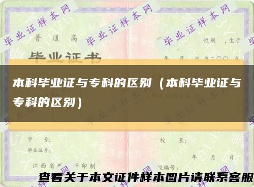 本科畢業證與?？频膮^別（本科畢業證與?？频膮^別）縮略圖