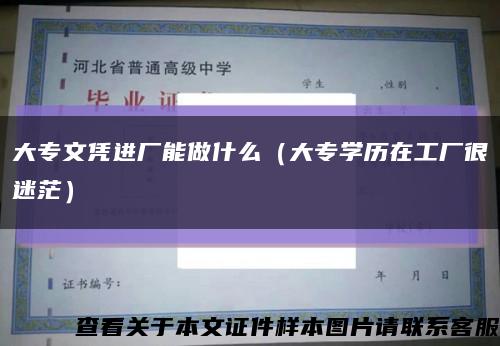 大專文憑進廠能做什么（大專學歷在工廠很迷茫）縮略圖