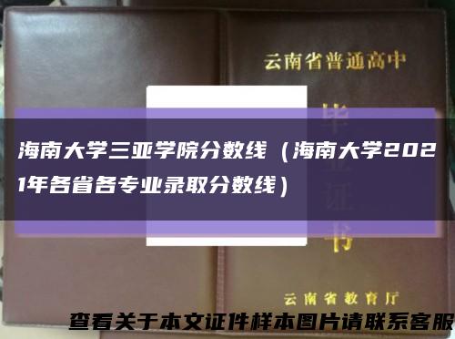 海南大學三亞學院分數線（海南大學2021年各省各專業錄取分數線）縮略圖