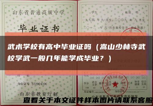 武術學校有高中畢業證嗎（嵩山少林寺武校學武一般幾年能學成畢業？）縮略圖