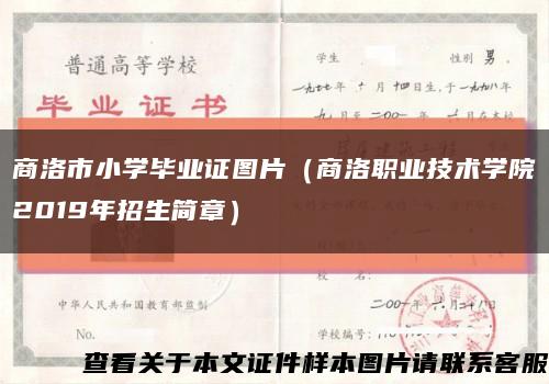 商洛市小學畢業證圖片（商洛職業技術學院2019年招生簡章）縮略圖