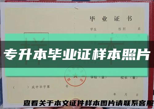 專升本畢業證樣本照片縮略圖