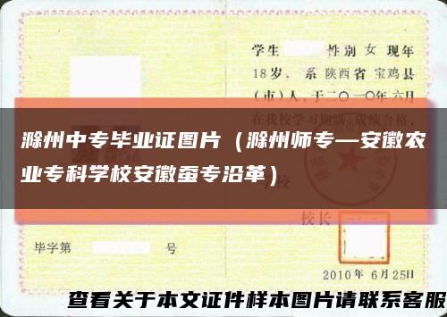 滁州中專畢業證圖片（滁州師?！不辙r業?？茖W校安徽蠶專沿革）縮略圖