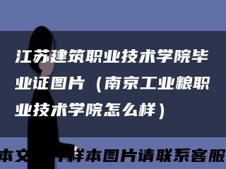 江蘇建筑職業技術學院畢業證圖片（南京工業糧職業技術學院怎么樣）縮略圖