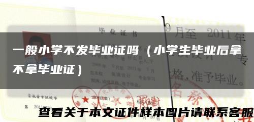 一般小學不發畢業證嗎（小學生畢業后拿不拿畢業證）縮略圖