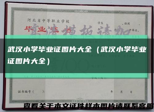 武漢小學畢業證圖片大全（武漢小學畢業證圖片大全）縮略圖
