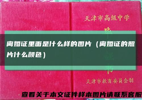 離婚證里面是什么樣的圖片（離婚證的照片什么顏色）縮略圖