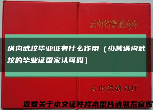 塔溝武校畢業證有什么作用（少林塔溝武校的畢業證國家認可嗎）縮略圖