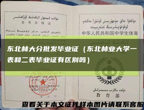 東北林大分批發畢業證（東北林業大學一表和二表畢業證有區別嗎）縮略圖