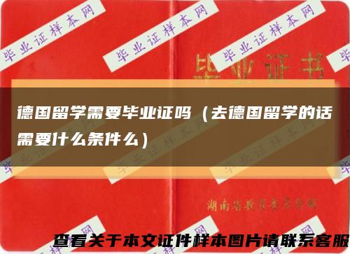 德國留學需要畢業證嗎（去德國留學的話需要什么條件么）縮略圖