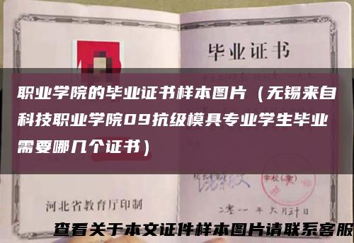 職業學院的畢業證書樣本圖片（無錫來自科技職業學院09抗級模具專業學生畢業需要哪幾個證書）縮略圖