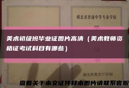 美術初級班畢業證圖片高清（美術教師資格證考試科目有哪些）縮略圖