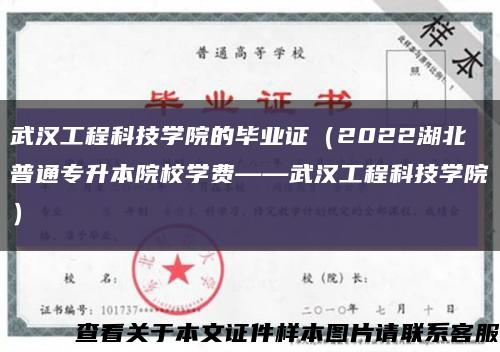武漢工程科技學院的畢業證（2022湖北普通專升本院校學費——武漢工程科技學院）縮略圖